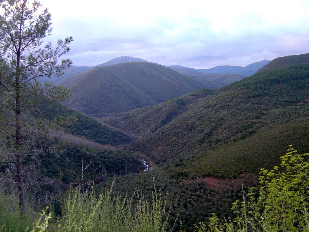 Alojamientos La Herrera San Esteban de la Sierra Habitación foto